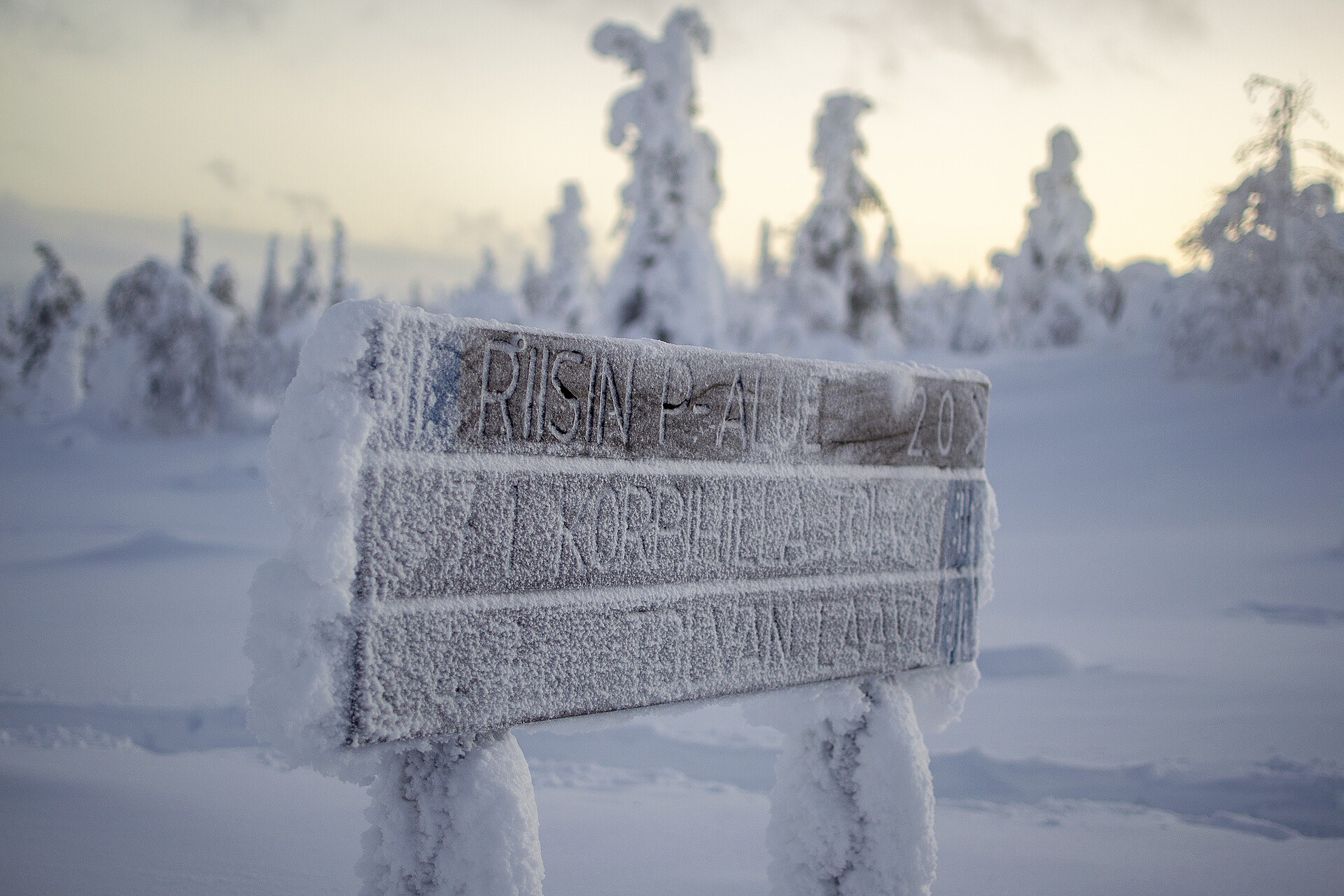 Thumbnail of Risitunturi, Finlande.